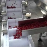 Full Auto Cherry Tomato Packing Line with Auto Cup Feeding Device