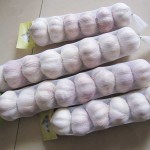 Linear Type Garlic Packing Mesh Bag