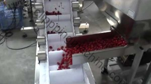 Full Auto Cherry Tomato Packing Line with Auto Cup Feeding Device
