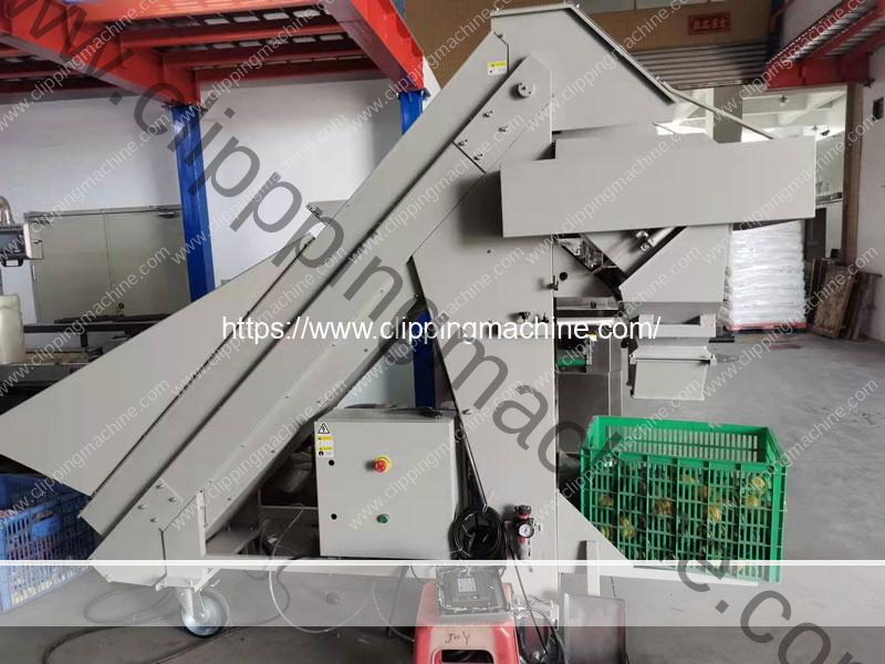 Automatic Potato Scaling Packing Machine for Chile Customer