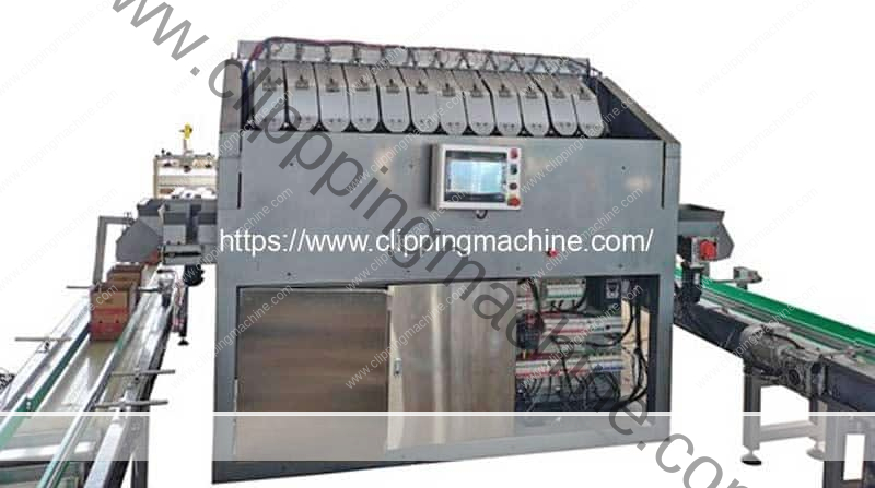 Automatic-12-Hopper-Type-Fruit-Electronic-Weigher-with-Double-Outlet