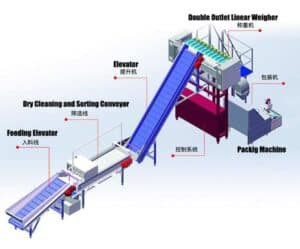 Automatic Fruit Dry Cleaning Sorting Mesh Bag Packing Plant Automatic Fruit Dry Cleaning Sorting Mesh Bag Packing Plant