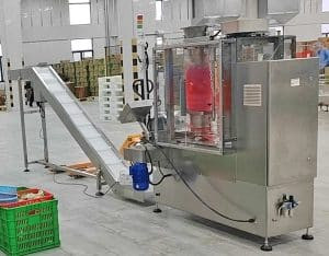 Automatic Garlic Linear Net Bag Clipping Packing Machine Automatic Garlic Linear Net Bag Clipping Packing Machine
